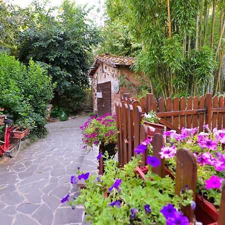 Loft In Antico Mulino Διαμέρισμα Isola d'Arbia Εξωτερικό φωτογραφία
