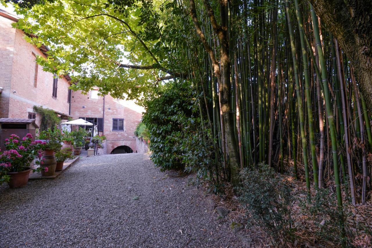 Loft In Antico Mulino Διαμέρισμα Isola d'Arbia Εξωτερικό φωτογραφία